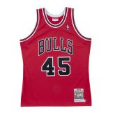 Mitchell & Ness NBA Chicago Bulls Michael Jordan 1994-95 Authentic Jersey - Raudona - Džersis